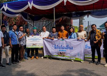 Tebar 25 Sapi Kurban, PTP Nonpetikemas Buktikan Kepedulian Sosial Jelang Idul Adha 2025