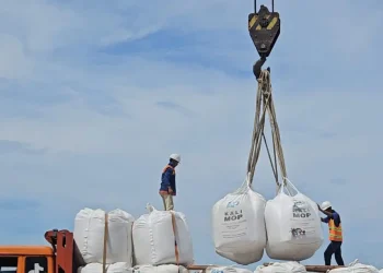 Kegiatan Bongkar Muat Pupuk di Pelabuhan Boom Baru Palembang: Melihat Peran Strategis PTP Nonpetikemas dalam Mendukung Swasembada Pangan Sumatera Selatan