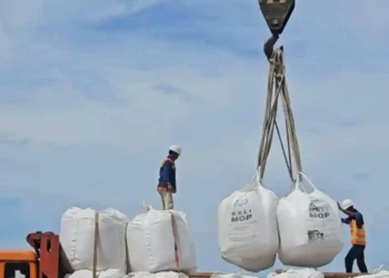 PTP Nonpetikemas Palembang Dukung Rantai Pasok Industri Pupuk Nasional 