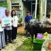 IPC Terminal Petikemas Tebar Kepedulian Idul Adha 1447 Hijriah ke Seluruh Wilayah Operasional