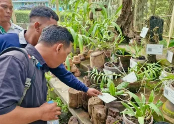 Komitmen Green Port, Terminal Teluk Lamong Tingkatkan Kompetensi Gardener dan Pengayaan Biodiversitas