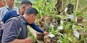 Komitmen Green Port, Terminal Teluk Lamong Tingkatkan Kompetensi Gardener dan Pengayaan Biodiversitas