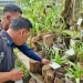 Komitmen Green Port, Terminal Teluk Lamong Tingkatkan Kompetensi Gardener dan Pengayaan Biodiversitas