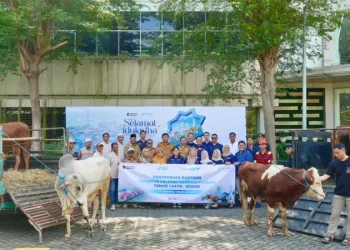 PT Terminal Teluk Lamong Salurkan 12 Sapi dan 21 Kambing melalui Program Pelindo Berbagi Kurban untuk Masyarakat Sekitar