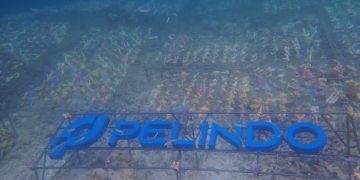 Pelindo Dukung Restorasi Terumbu Karang dan Pemberdayaan Masyarakat Pesisir di Labuan Bajo