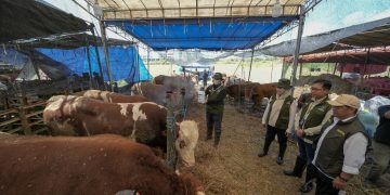 Kolaborasi Pelindo Petikemas dan Pemkot Surabaya Pastikan Hewan Kurban Aman untuk Masyarakat Jelang Iduladha 1447 H