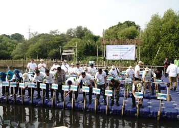 IPC TPK Dukung Rehabilitasi Mangrove Nasionalmelalui Kolaborasi TJSL “The North Green Movement”