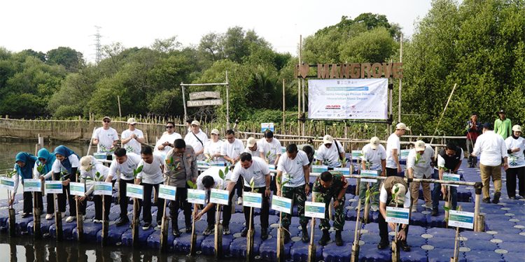 IPC TPK Dukung Rehabilitasi Mangrove Nasionalmelalui Kolaborasi TJSL “The North Green Movement”
